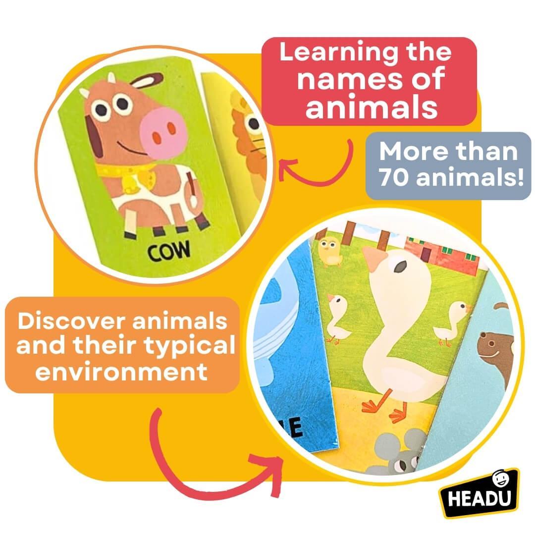 Headu-First-Animal-Encyclopedia_EN57533_4