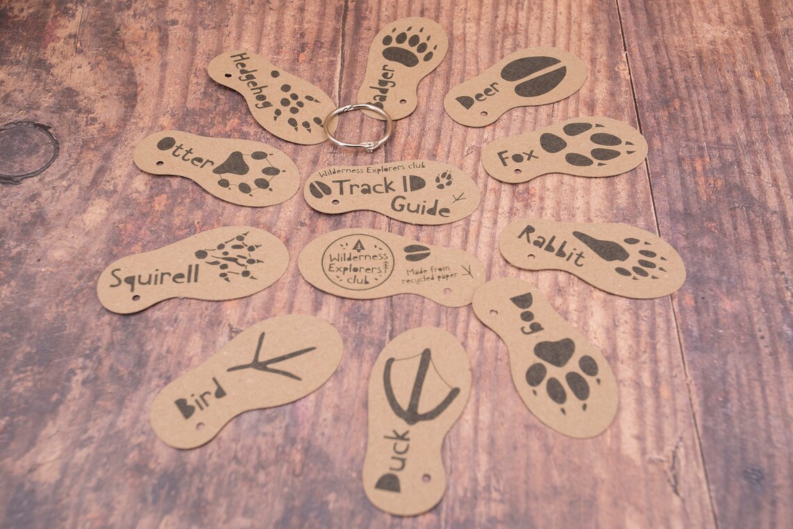 il_1140xN.4128458536_7kup-6602-1684473488-1200×1200-jpg