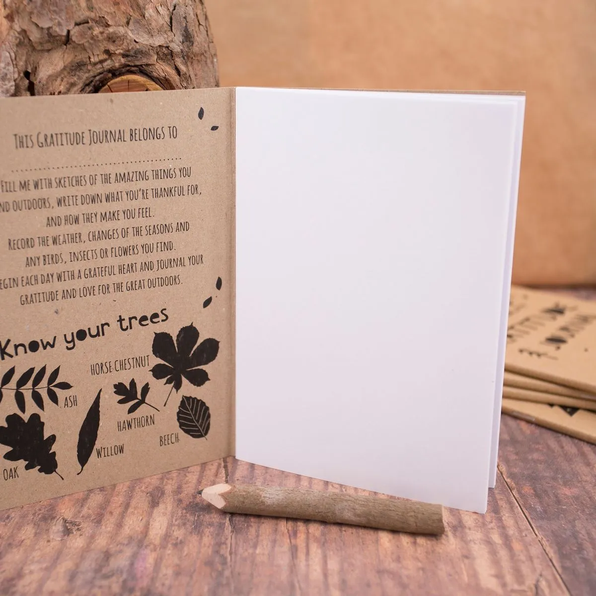 il_fullxfull.4025942956_h39a-7465-1684482131-1200×1200-jpg