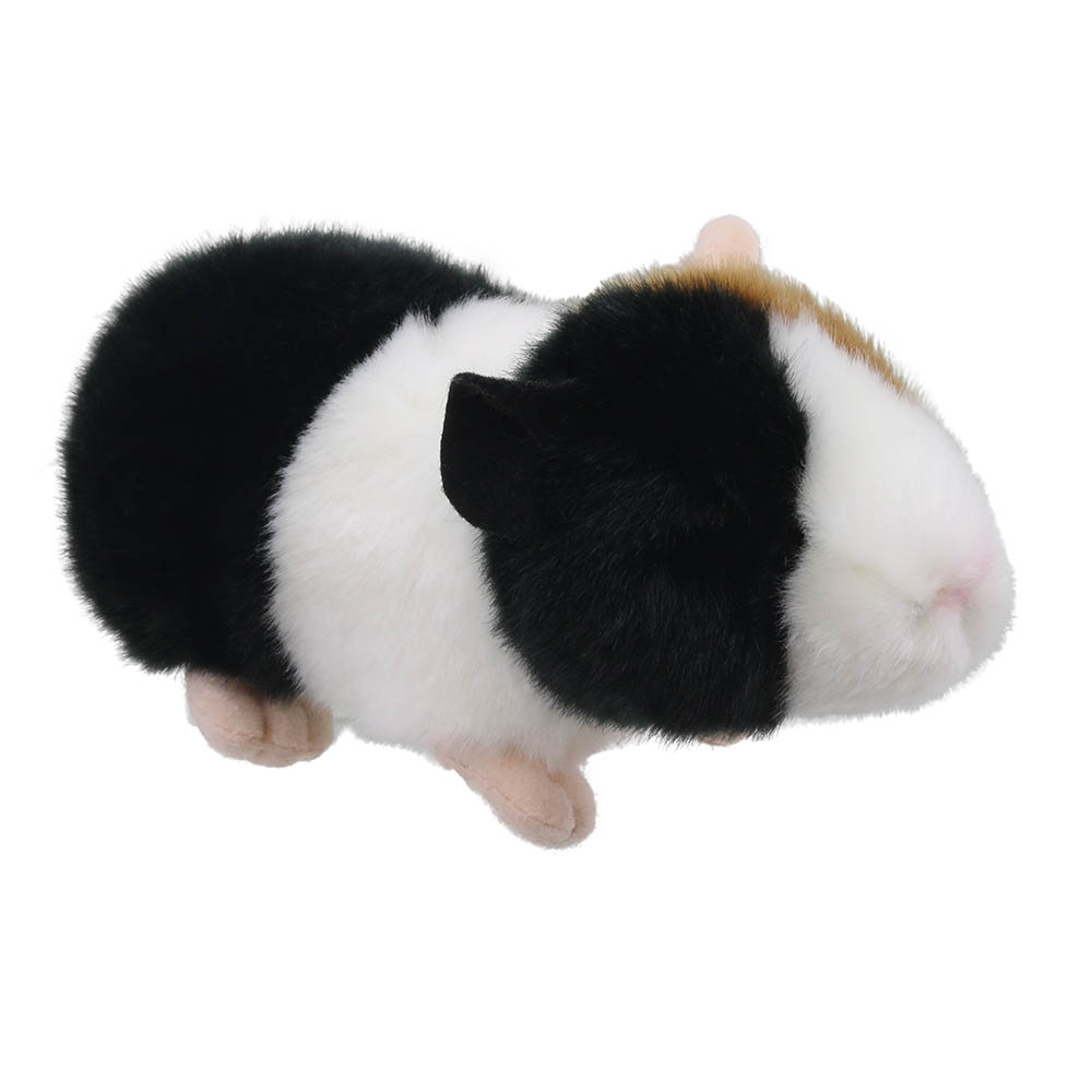 Guinea-Pig-Wilberry-Minis-WB005044-2