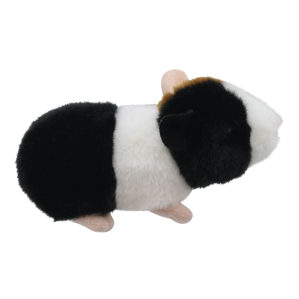 Guinea-Pig-Wilberry-Minis-WB005044-3