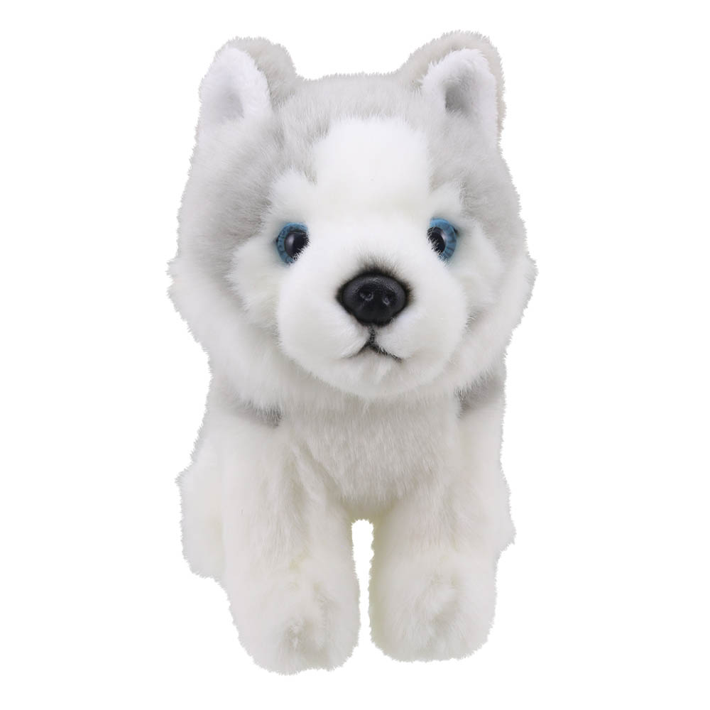 Husky-Wilberry-Minis-WB005053-1
