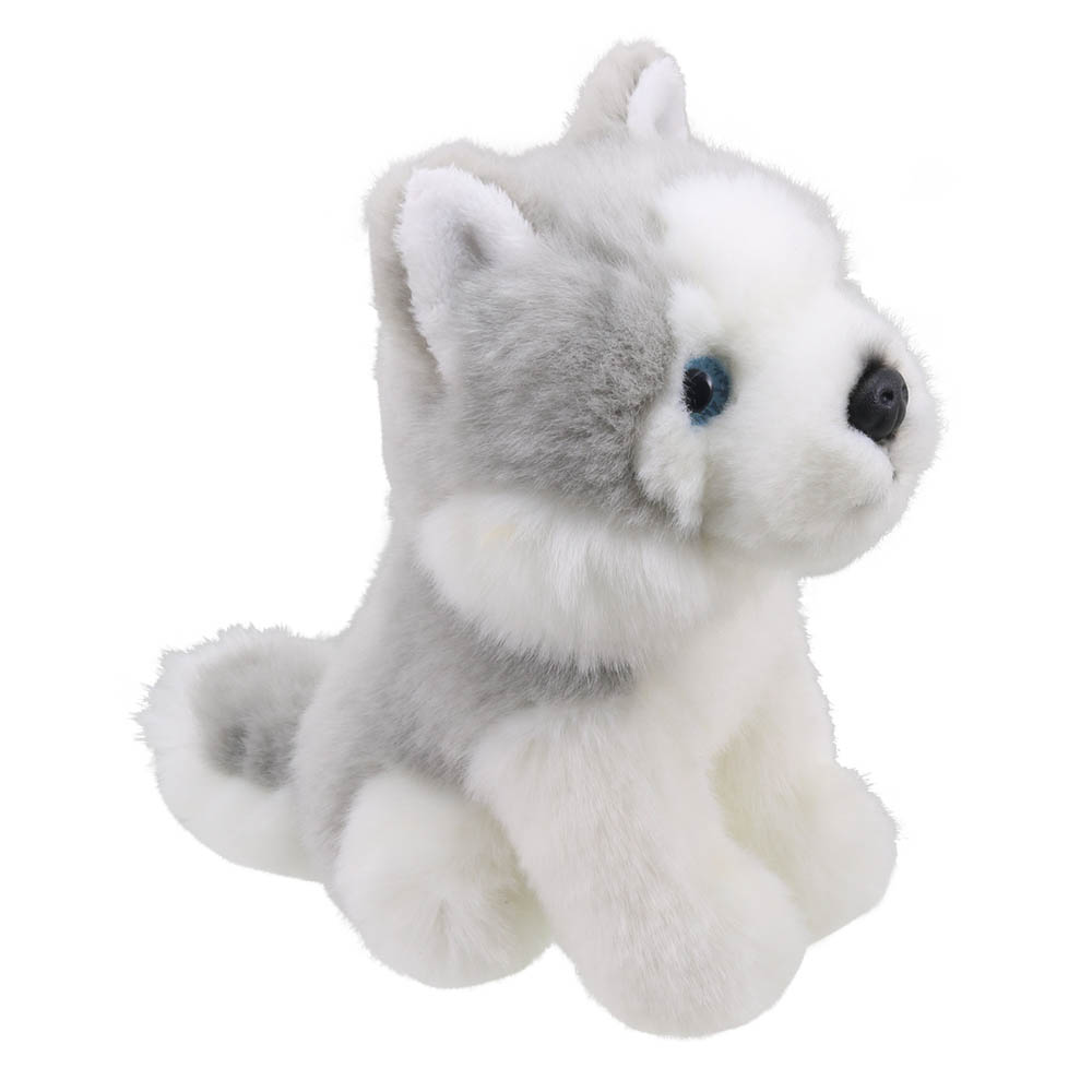 Husky-Wilberry-Minis-WB005053-2