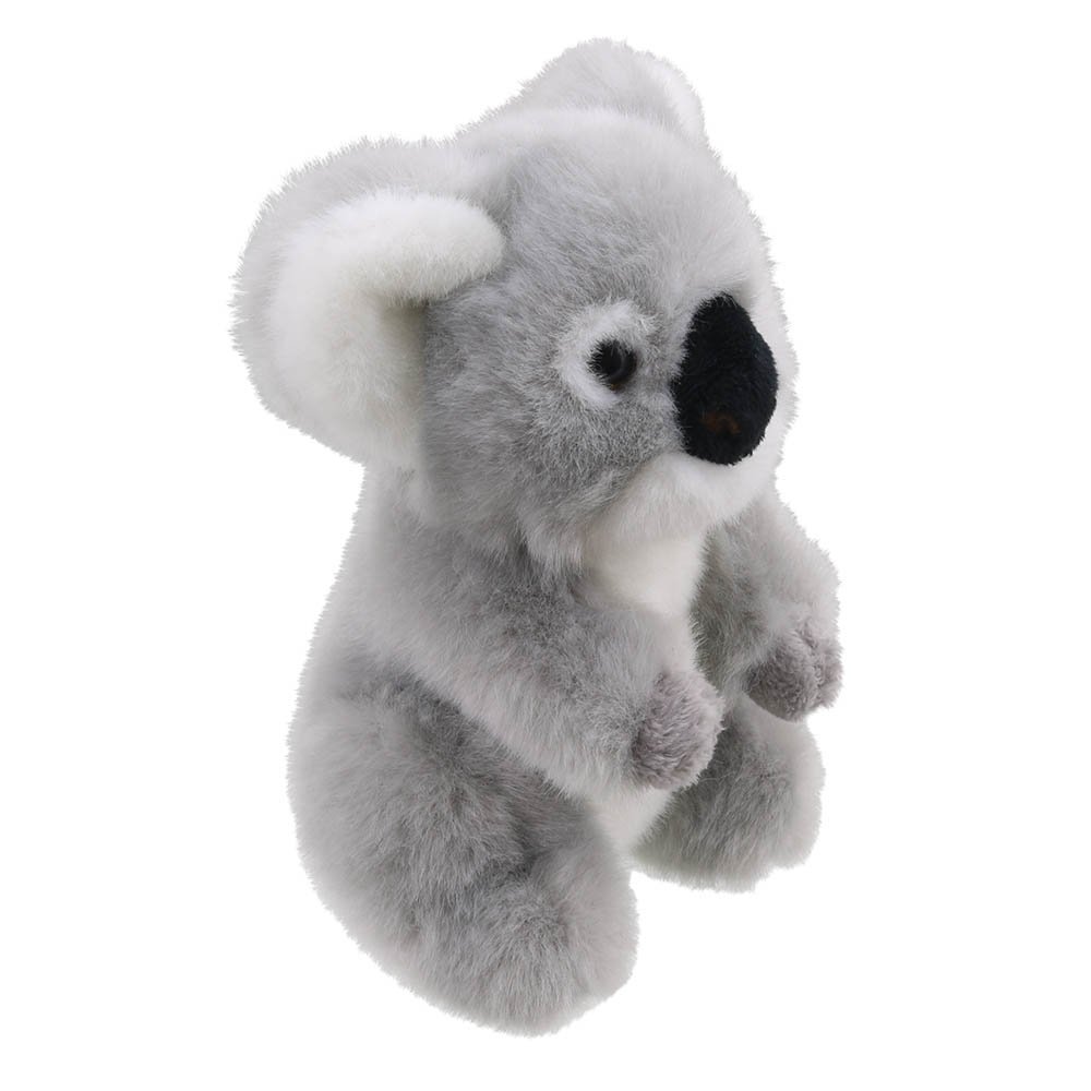 Koala-Wilberry-Minis-WB005054-2