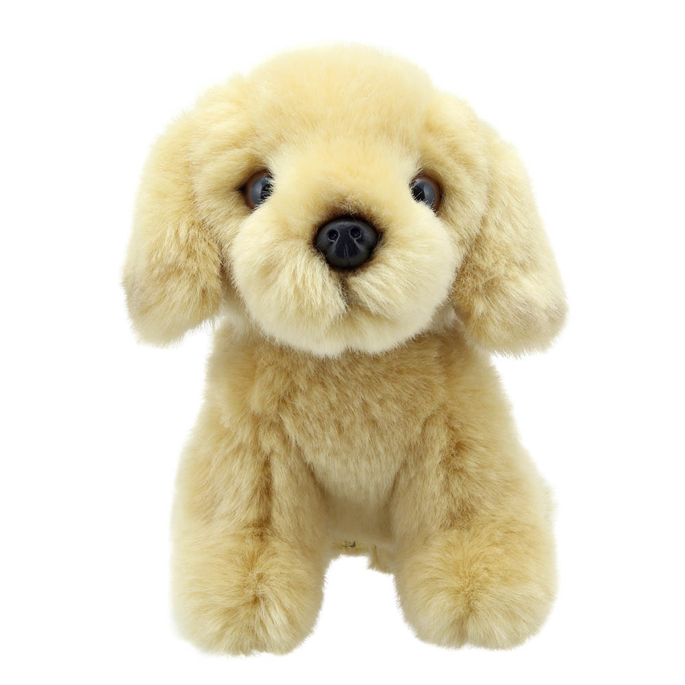 Labrador-Yellow-Wilberry-Minis-WB005003-1