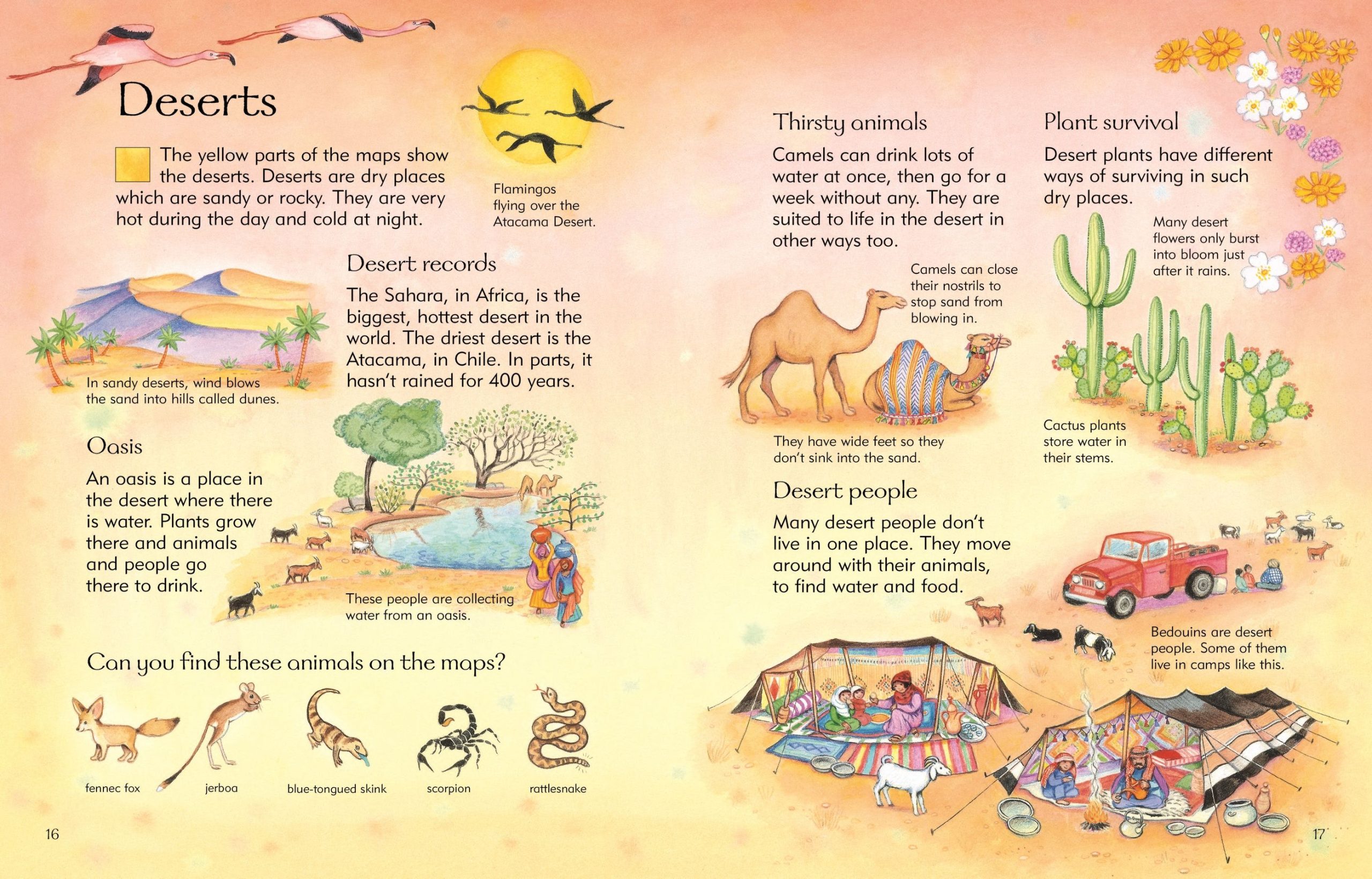 9780746047132_spread_image