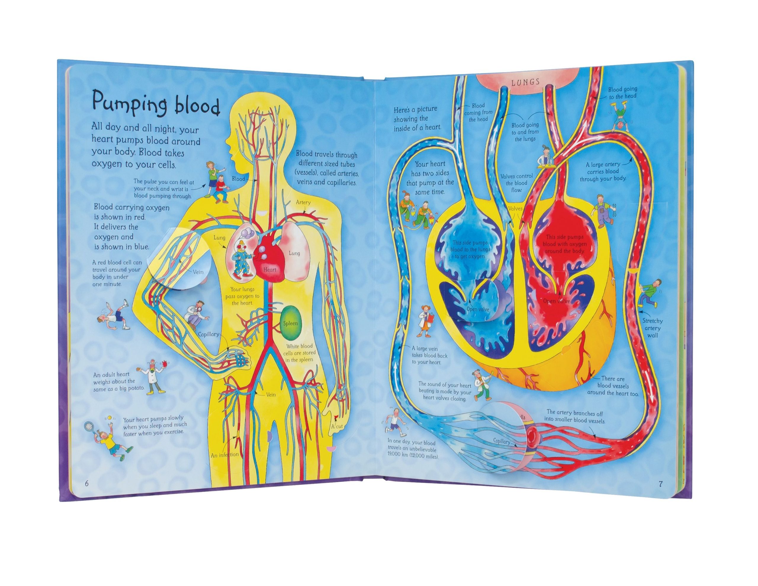 9780746070055_spread_image_4_