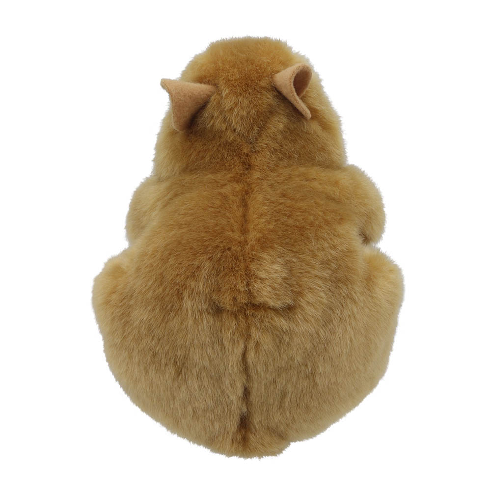Hamster-Wilberry-Minis-WB005045-4
