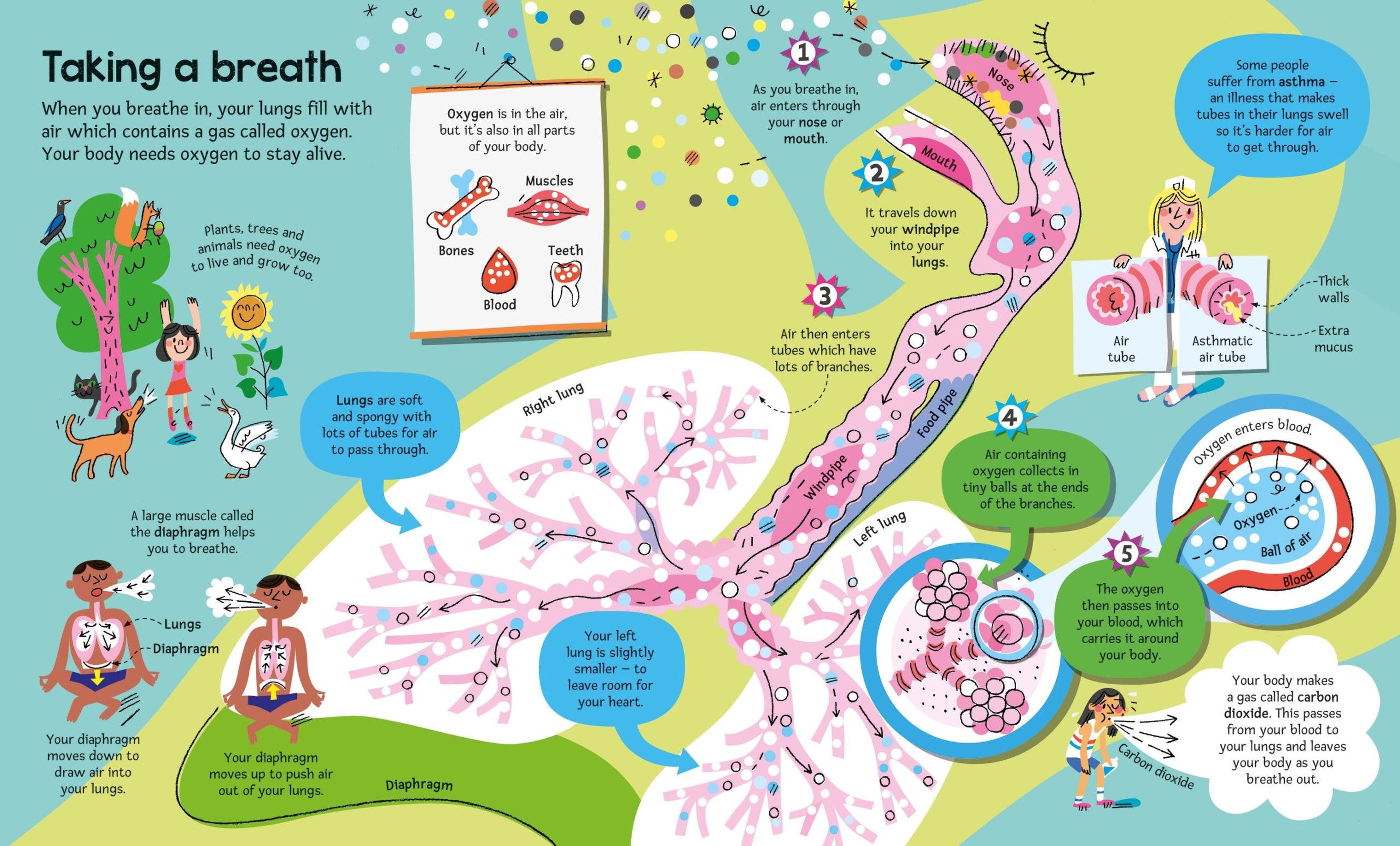 9781836040224_spread_image