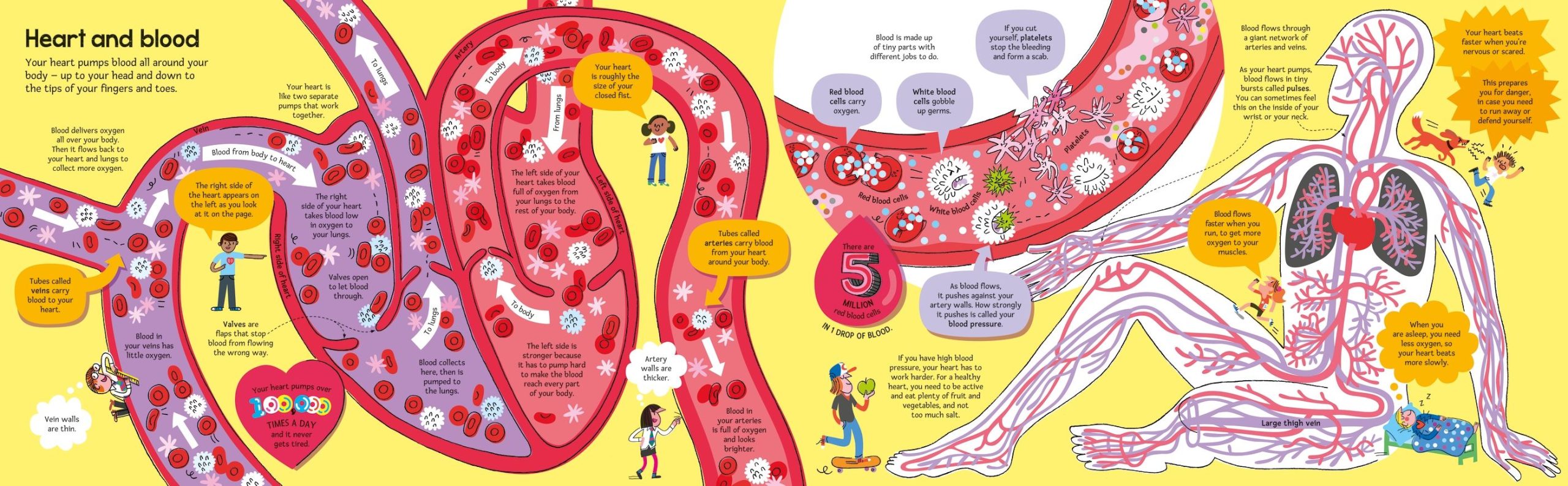 9781836040224_spread_image_2_