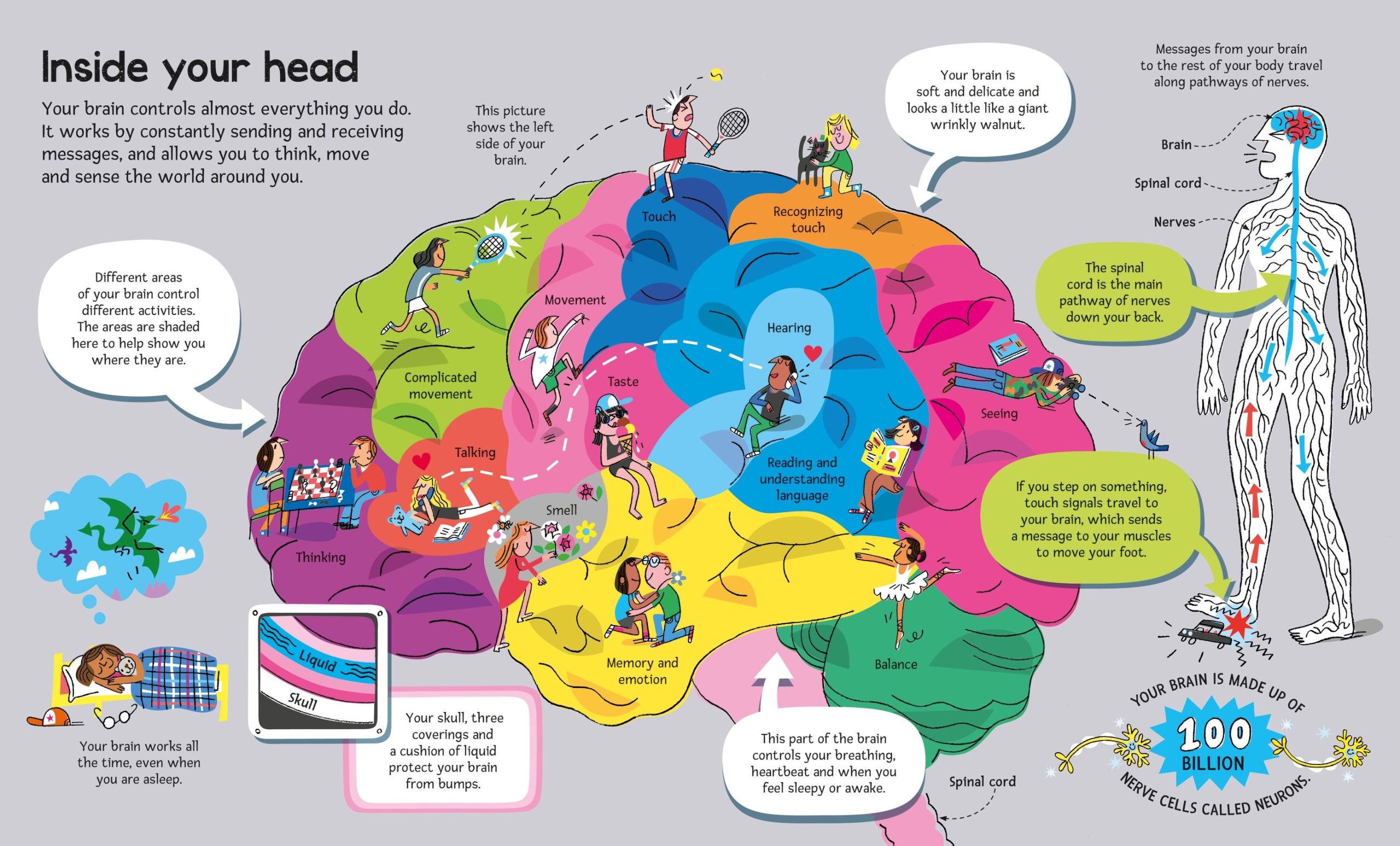 9781836040224_spread_image_4_