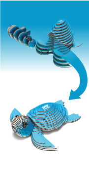 D5017-Eugy-Turtle-front-of-pack-image-web