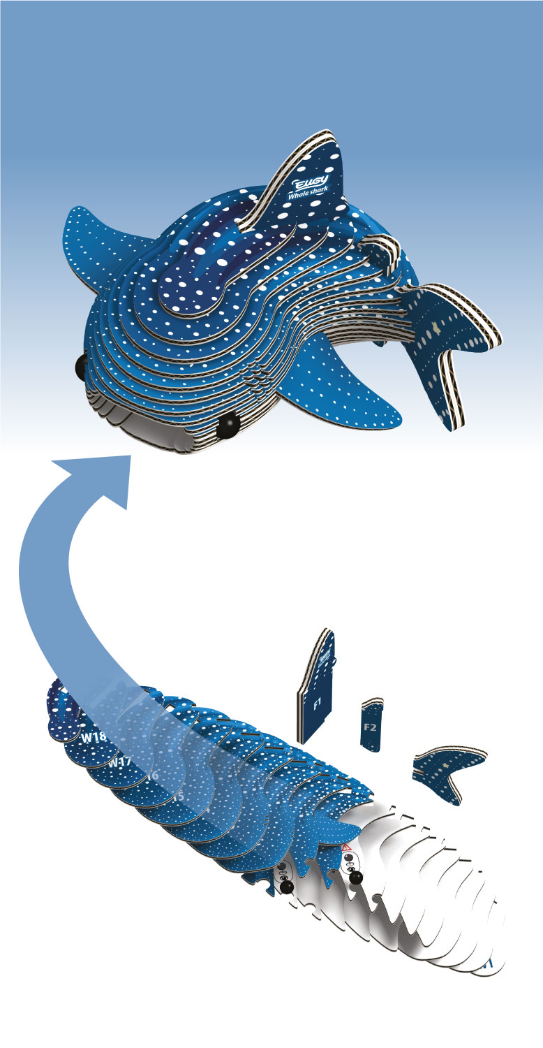 D5025-Eugy-Whale-Shark-front-of-pack-assembling-image-web