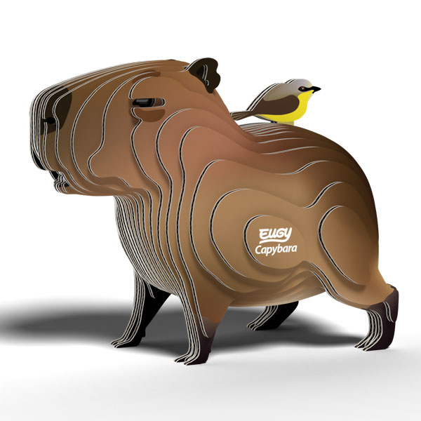 D5090-EUGY-Capybara-WEB